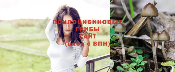 дистиллят марихуана Приозерск